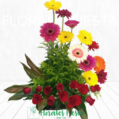 GE22 – Abanico (12 rosas y 12 gerberas) – Florales Fiesta