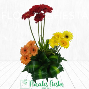 Arreglos de Gerberas – Florales Fiesta